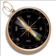 Picture Of Black Brown Compass